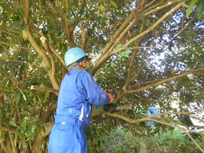 作業 9.jpg