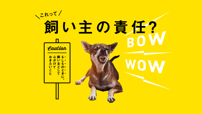 お散歩中に吠えたら自転車が転倒…。これって飼い主の責任?