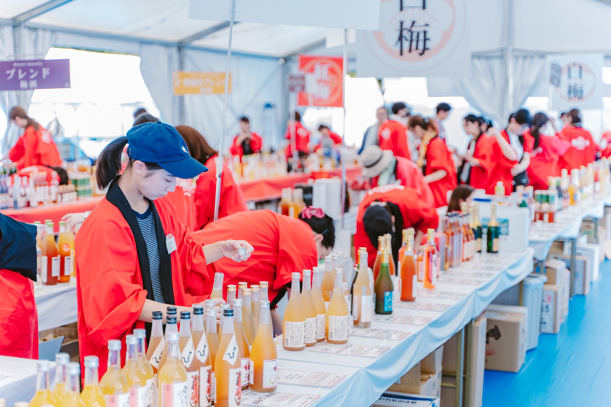 全国梅酒まつりの梅酒飲み比べ会場の様子