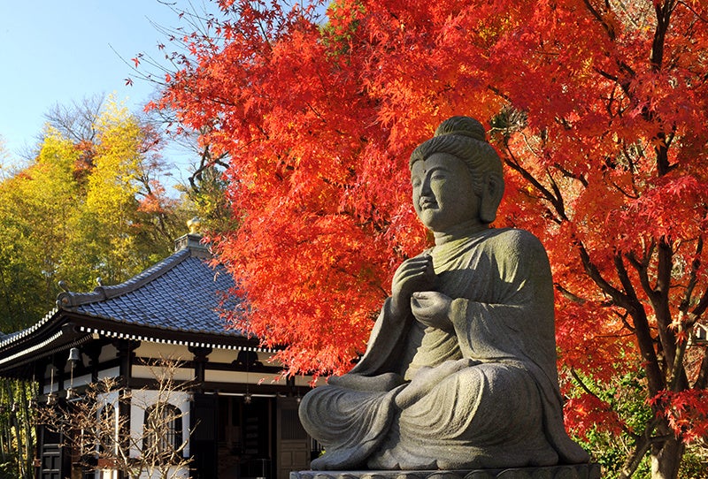 紅葉の季節の鎌倉・長谷寺の境内