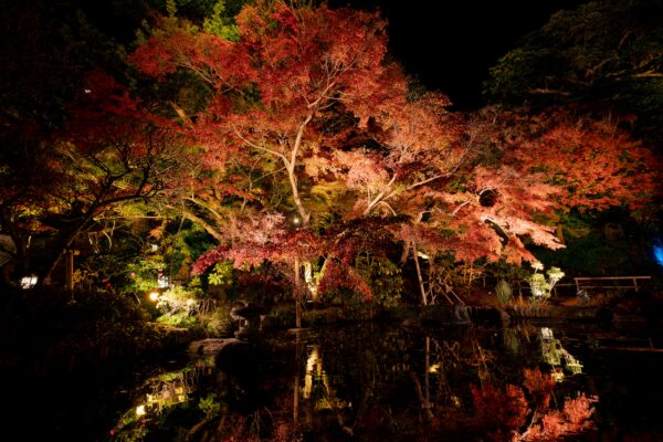鎌倉・長谷寺の境内の風景