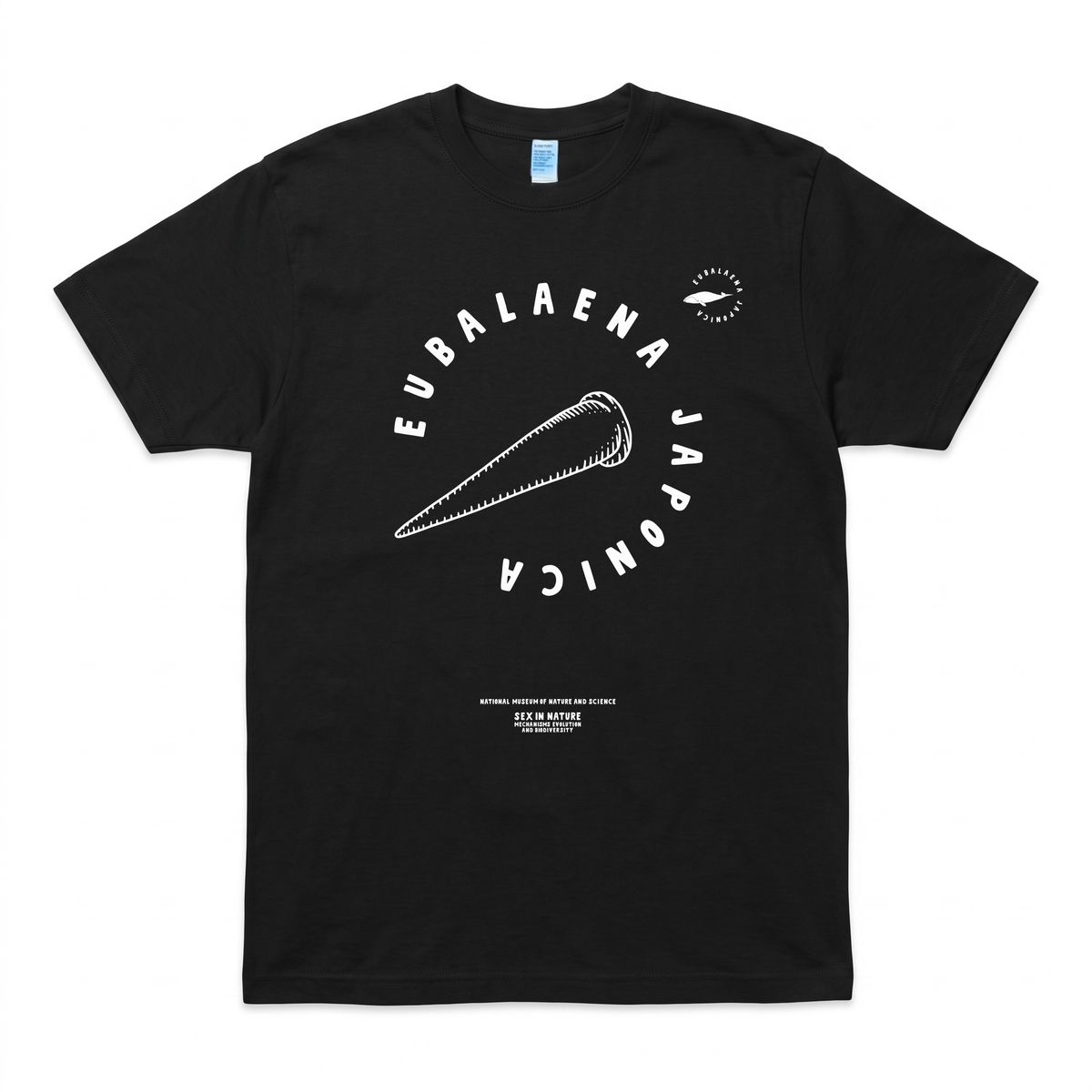 平沼久幸さんが描いたセミクジラのTシャツ