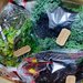 まるでオンラインマルシェ!? ”食べチョク”で、お野菜とハーブセットを頼んでみた