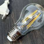 群馬県で電力会社を選ぶ! 東京電力の新プランと新電力のプランはどっちがおトク?