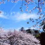 6 HIGHLIGHTS OF MARUGAME, CASTLE TOWN IN KAGAWA