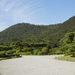 3 REASONS TO VISIT RITSURIN GARDEN IN THE EARLY MORNING