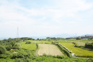 ART ISLAND TESHIMA WITH UNSPOILED NATURE IN PICTURES