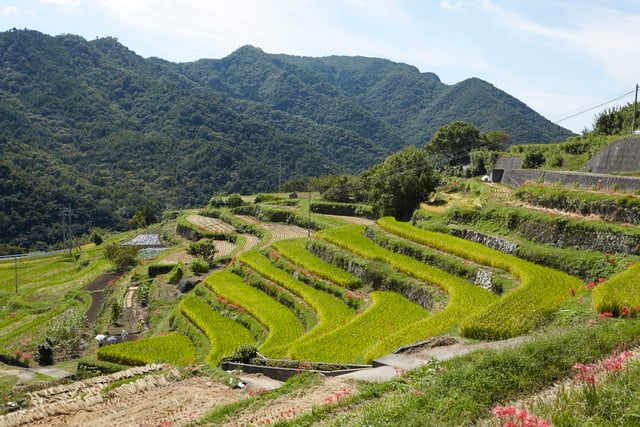 farm tour in japan