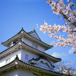 MARUGAME CASTLE, WITH ITS BEAUTIFUL AND MAGNIFICENT STONE WALL