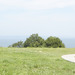 TESHIMA, ANOTHER ART ISLAND ON THE SETO INLAND SEA