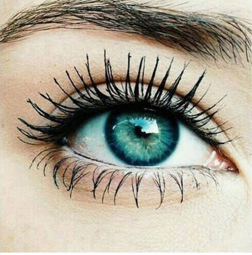 ヴァセリンの意外な使い方 Cocomitepoket