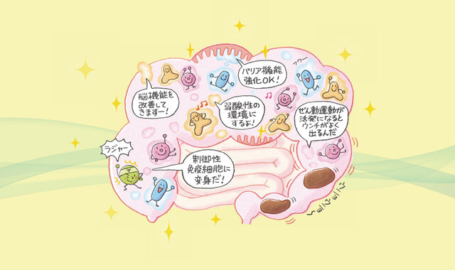腸内の善玉菌がカギに!免疫力に欠かせない「短鎖脂肪酸」って?