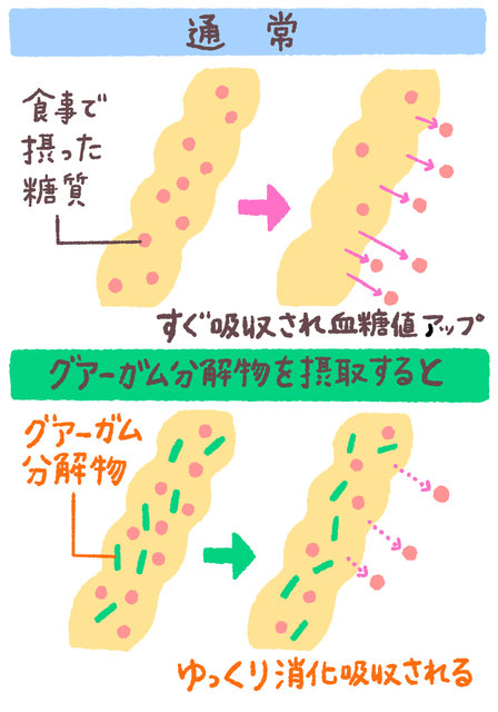 グアーガム分解物