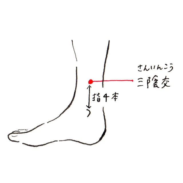「三陰交(さんいんこう)」
