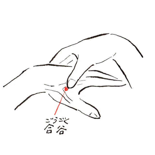 合谷(ごうごく)