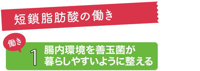 短鎖脂肪酸の働き