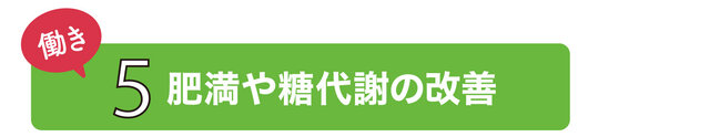肥満や糖代謝の改善