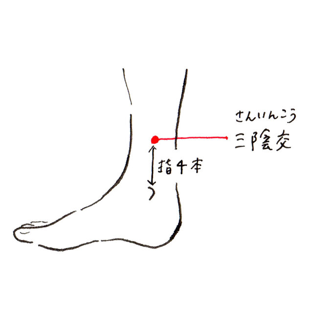 (40241)