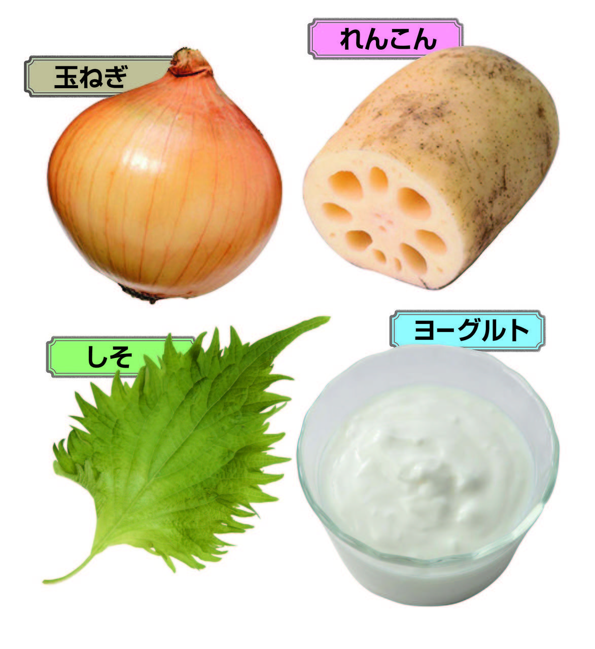 医師のお墨つき!カユカユ・クシュクシュに「アレルギー4大防御食」 |からだにいいことWeb