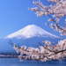 日本的世界遺產系列No.4ー靜岡縣、山梨縣:富士山-信仰的對象及藝術的泉源