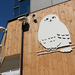 在貓頭鷹空間裏享受孕育美和健康 新鮮蔬菜餐廳「Shiny Owl