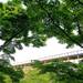 用五感體驗新綠季節的森林浴!一起到京都的「京阪奈紀念公園」散散步吧♪