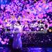 東京台場新景點:teamLab Borderless〜結合數位、藝術、互動娛樂的新感官藝術美術館〜