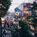 東京的秘密景點『貓街』:表參道及原宿~澀谷間的小徑