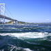 日本第一個島嶼?! 來淡路島欣賞世界第一大的鳴門漩渦