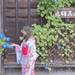 高山之秋---八幡祭