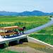 新綠乘坐嵯峨野觀光小火車和京馬車 初夏龜岡的悠閒治癒之旅|Cue日本 ~讓你的生活變得更有意義~