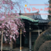 【我的日本生活物語】喋喋喃喃的世界 從谷中銀座到谷中靈園到朝倉雕塑美術館