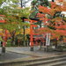 【京都賞楓私房景點】「鍬山神社」紅葉拱橋 秋日打卡新景點