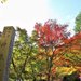 【京都賞楓私房景點】「神藏寺」四百年樹齡大楓樹 來尋找隱世紅葉庭園吧