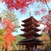 【2019秋】海住山寺文化財產特別開放!一邊賞楓一邊探訪古寺吧?