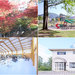與孩子出外遊玩之秋季場景「京都府立丹波自然運動公園」