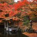在京都享受溫泉&賞紅葉一日遊〜京都的琉璃溪溫泉&綾部溫泉〜