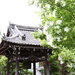 榮獲京都自然200選之一 「與能神社」讓你走進神隱少女場景