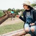 【懶人包】奈良一個人旅行!新手行程攻略4選