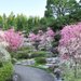 京都絢麗歲時記〜城南宮枝垂梅&山茶花祭典〜