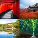 【2020京都自由行】京都天氣、交通資訊、推薦景點、必買伴手禮總整理