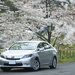 日本租車自駕就要這樣玩!從平價租車、交通規則到推薦景點,這篇懶人包一次看完