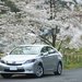 日本租車自駕就要這樣玩!從平價租車、交通規則到推薦景點,這篇懶人包一次看完