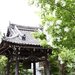 榮獲京都自然200選之一 「與能神社」讓你走進神隱少女場景