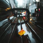 2020年10月12日〜10月16日の結果
