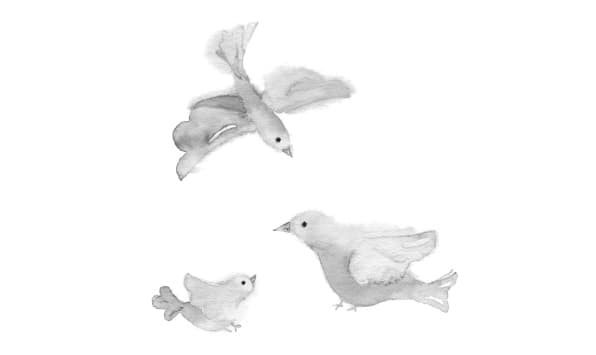 羽ばたくとりのイラスト