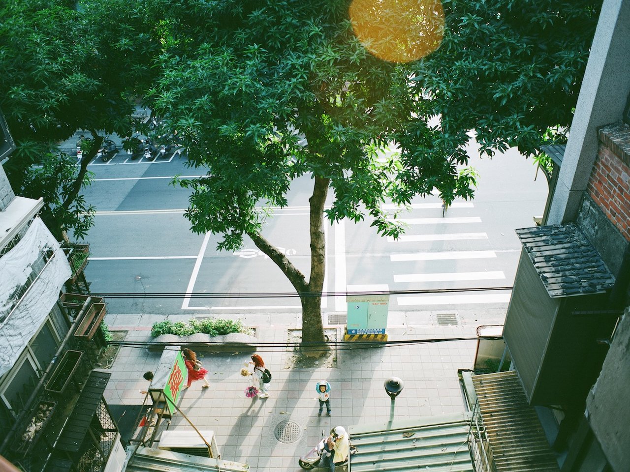 Creator S Eye 第16回 音楽家 山崎ゆかりのまなざしがとらえる ドキュメンタリー な瞬間 Miraibi