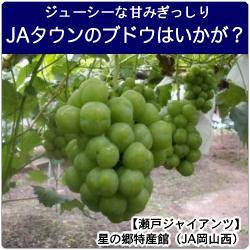 甘みぎっしり Jaタウン のブドウはいかが 飲食業界 Com