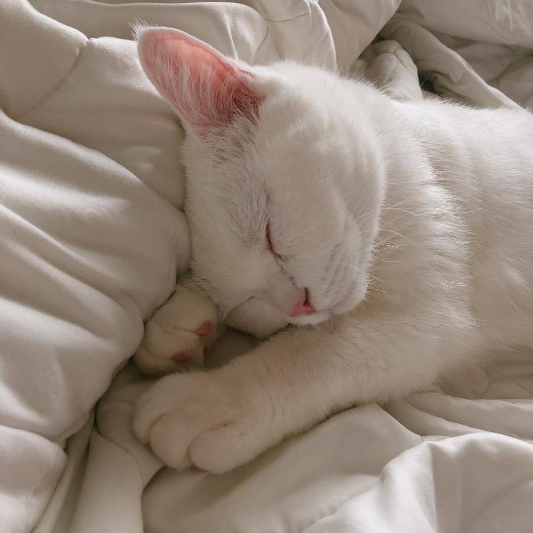 韓国で人気のsns投稿 家から出たくない人の特徴 が共感できると話題 韓国情報サイト Daon ダオン