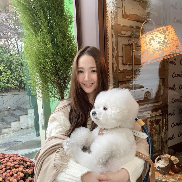 2024年最新！韓国人に人気のペット(犬)の名前ランキングTOP⑩♡ - 韓国 ...